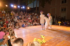 DSC 0072 (3436 visits) DSC 0072