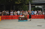 DSC 0296 (2112 visits) DSC 0296